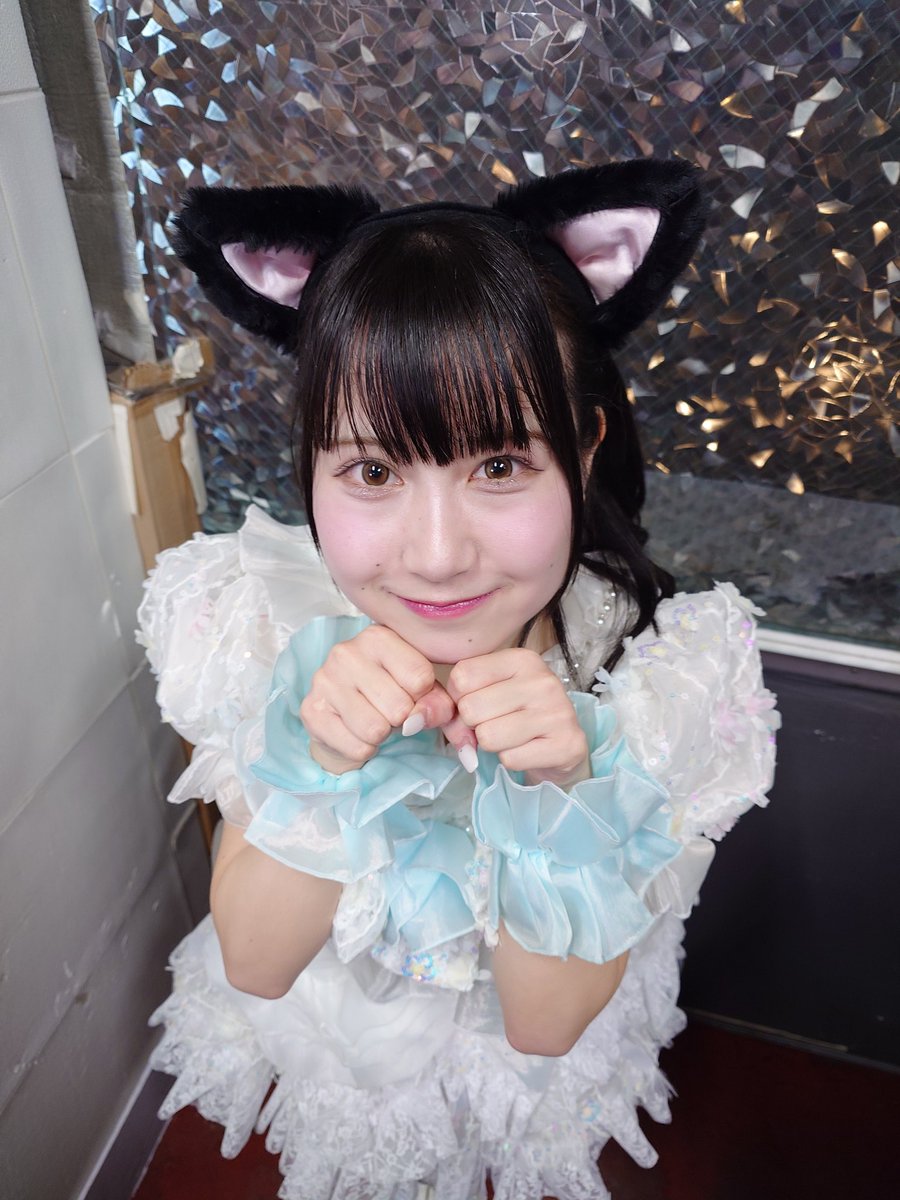 ね こにゃん♪ (@nekonyan0112) / Posts / X