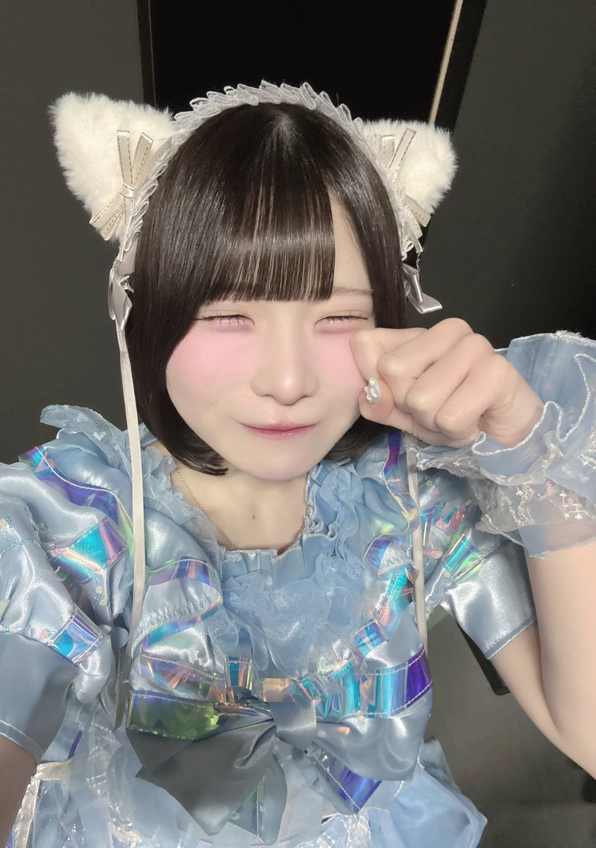 Post by やや まる 【 あたまのなかは8ビット!? 】 on X: #猫の日