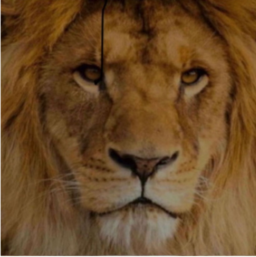 Ricardo Arias Mora tweet media