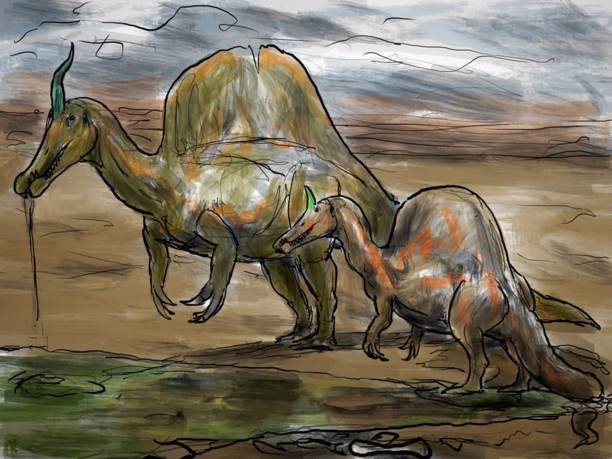 rlatkdwls's tweet photo. Spinosaurus mirabilis https://t.co/MLQcZ0no44