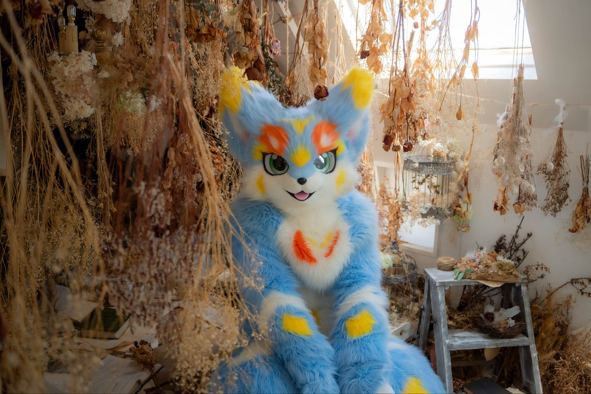 そら🐾 tweet media