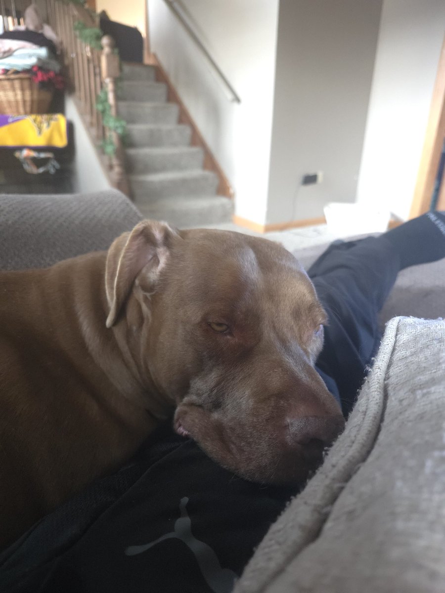 RYJ0Resells's tweet image. He is not concerned whatsoever about hockey 🤷