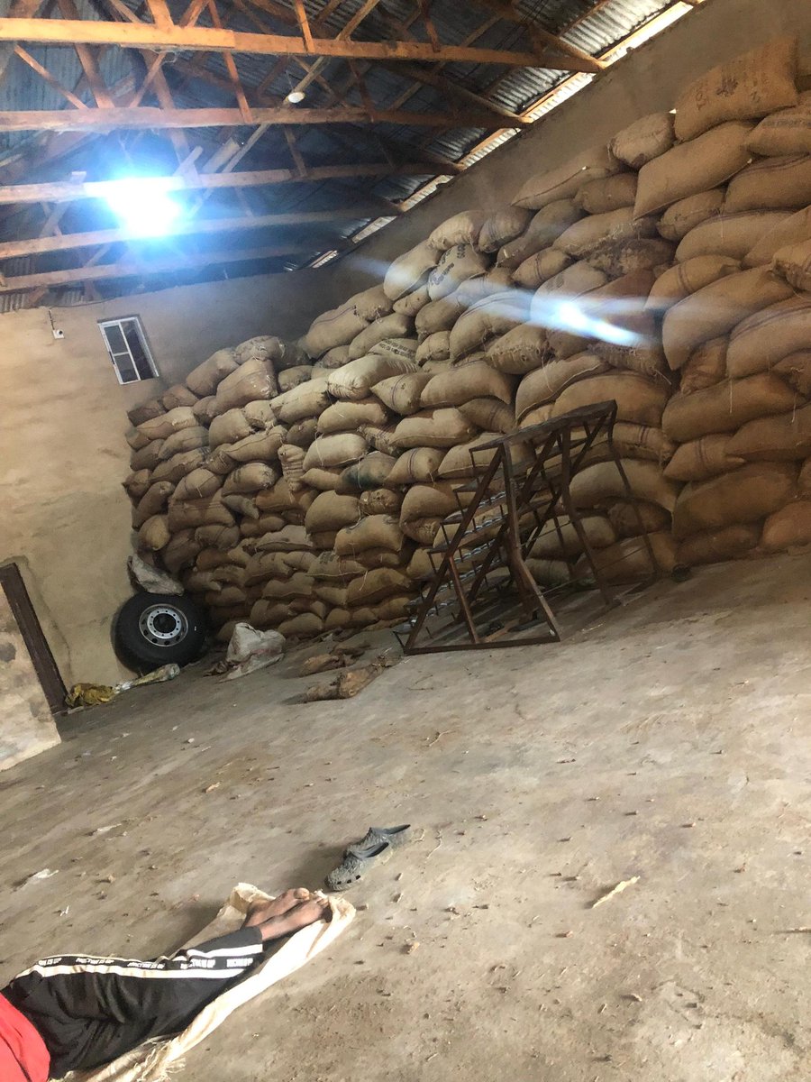 rehobothfarmltd's tweet photo. #Commodities #palmkernel #cocoa #palmkernelnut https://t.co/we2j5NSeS8