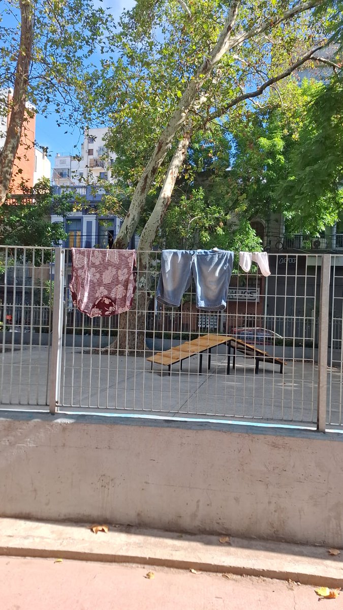 Basta de corruptos tweet media