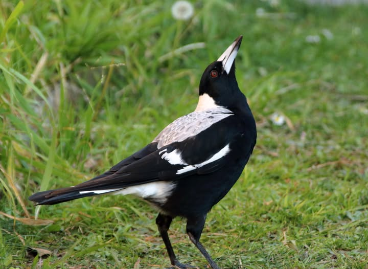 Doc 🔛 Paternity Leave tweet media