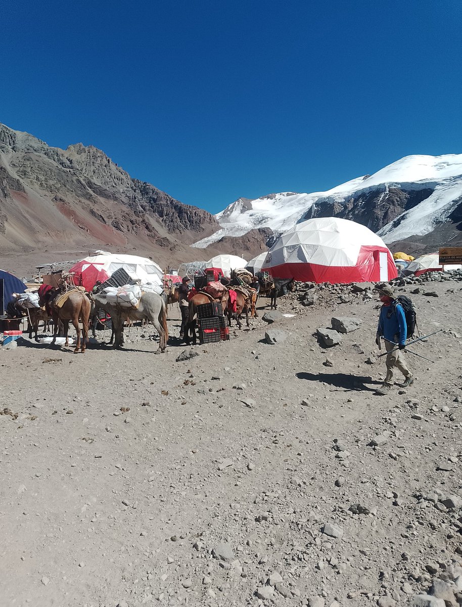 MaxiViale_Weather tweet media