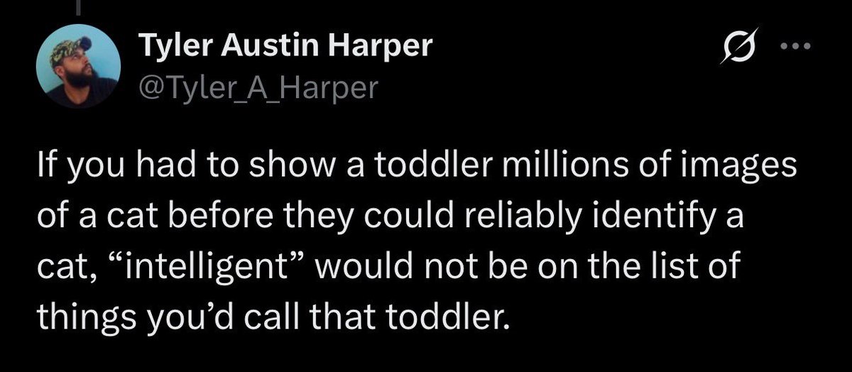 yeah but if you showed a million images of cats to a pile of sand and eventually it could identify cats i would be like this is the smartest fucking sand i've ever seen