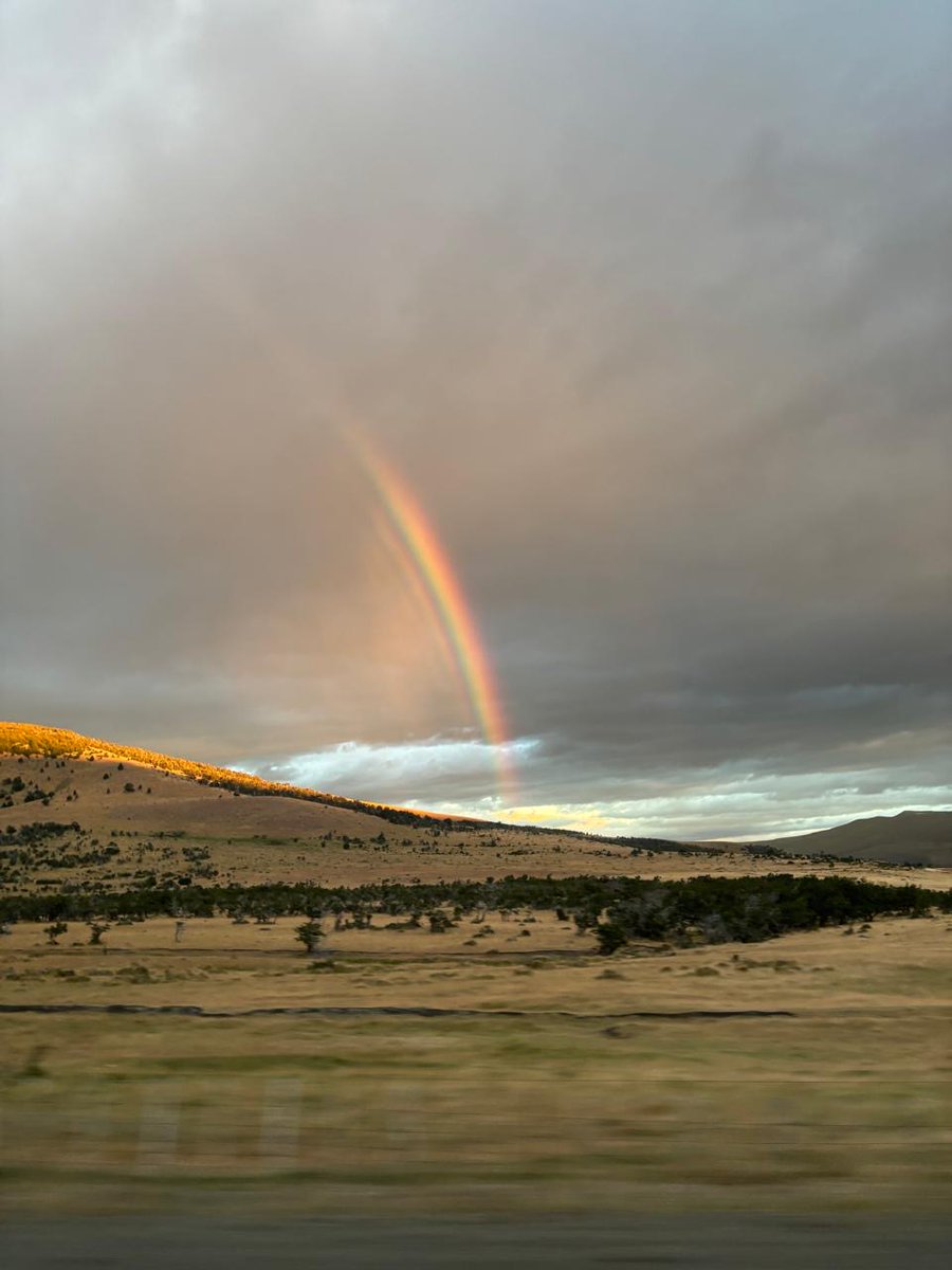 Belen Sapag M. tweet media