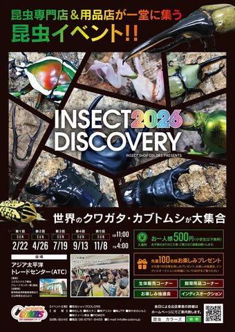karute252524563's tweet photo. INSECT DISCOVERY 2026
にようやく行って
100㎜overのパラワンレッドアイと
スマトラアチェ『オオヒラタ』90㎜overを
即買いしました！
くそでけぇぇっっ！！
日本ヒラタのほぼ3倍以上のデカさやな https://t.co/LkzrBKlvLu