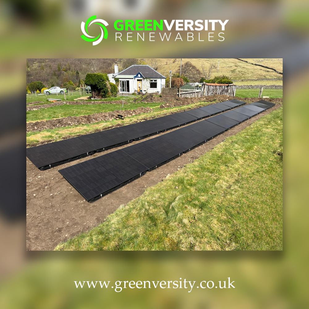 GreenVersity tweet media