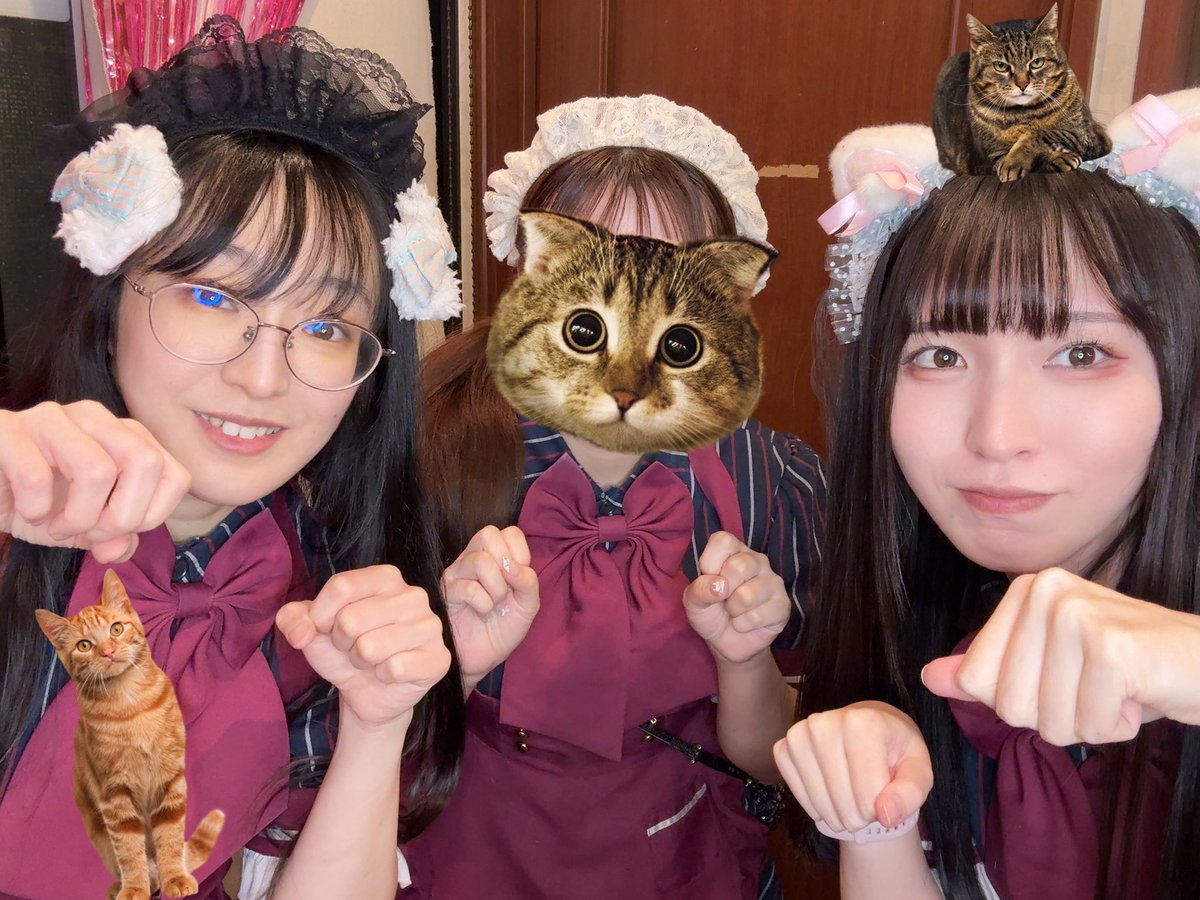 本日もご帰宅ありがとうございました！ 🌙組メイドは…… まほれ🐱見習い