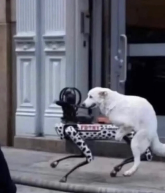 VHS LOGOS tweet media