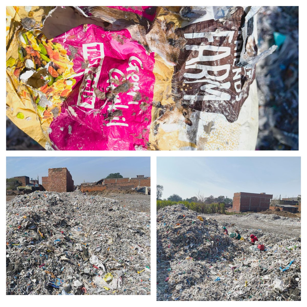 Manoj Kumar (professionally known as Manoj Pal) tweet media