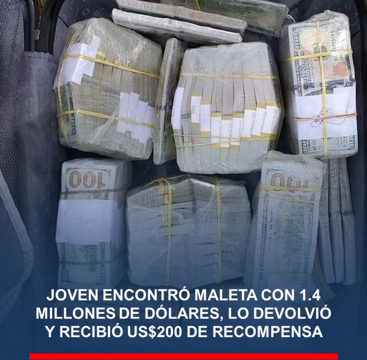 Rolita tweet media