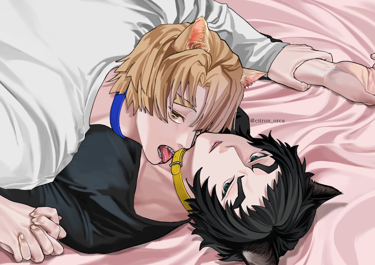 2/22🐈🐈‍⬛ 善獪