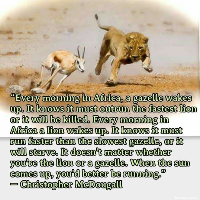 Reggie Marable tweet media