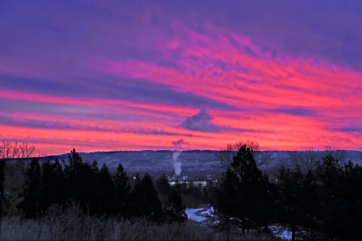 Bob Zellar tweet media