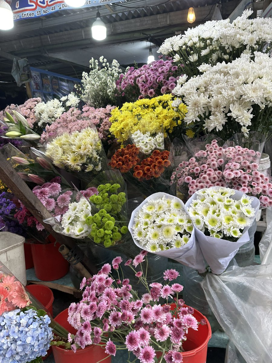 methannaal's tweet photo. buying myself flowers cause why wait for anyone to do so? https://t.co/WVsvZzzU8F