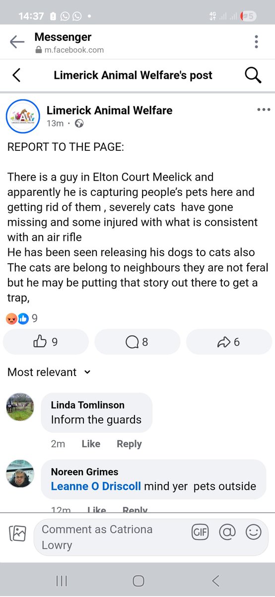 catlowry54's tweet photo. If you live in #Meelick watch out for this monster https://t.co/K7fF4yiaGs