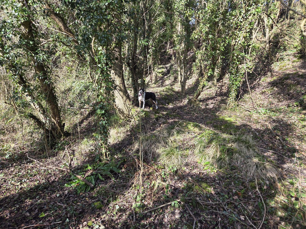 Jenny... 💙 tweet media