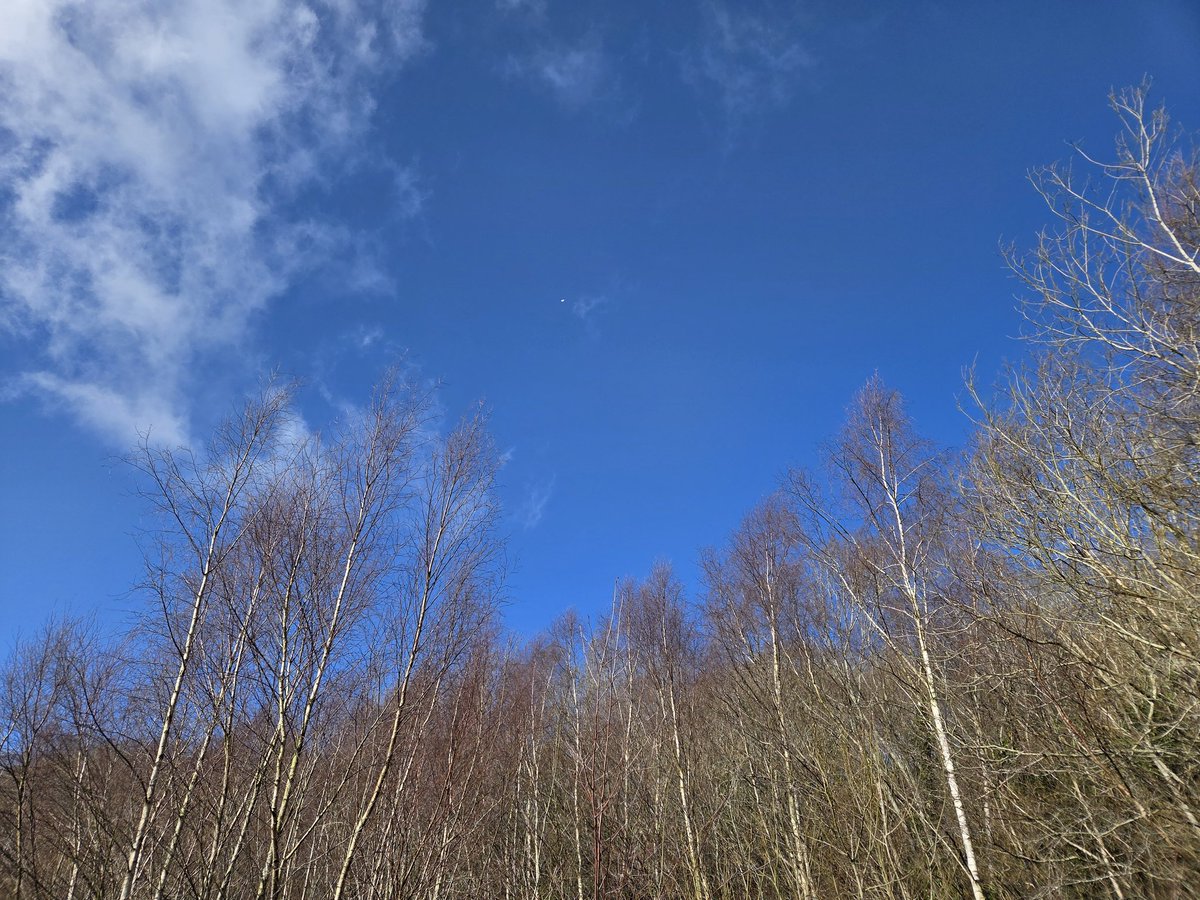 Jenny... 💙 tweet media