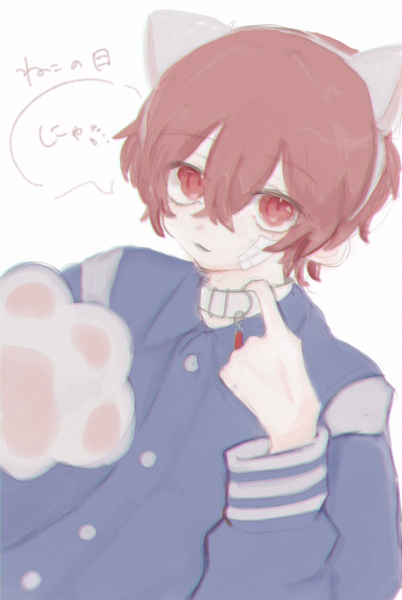 #坂田です 🐈🤍