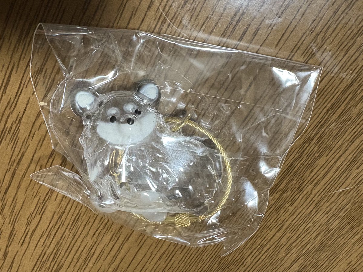 pkkk1002's tweet photo. 【交換】
うちの子のけだまだま　けだまだま　ガチャ　カプセルトイ

譲→チワワ（黒）＆骨型チャーム
※お顔の白い部分に初期傷？汚れ？あり（写真2枚目）

求→柴犬（茶）

📮郵送交換のみ
気になる方がいらっしゃいましたら、お気軽にお申し付けください！ https://t.co/oKA4C4duuc