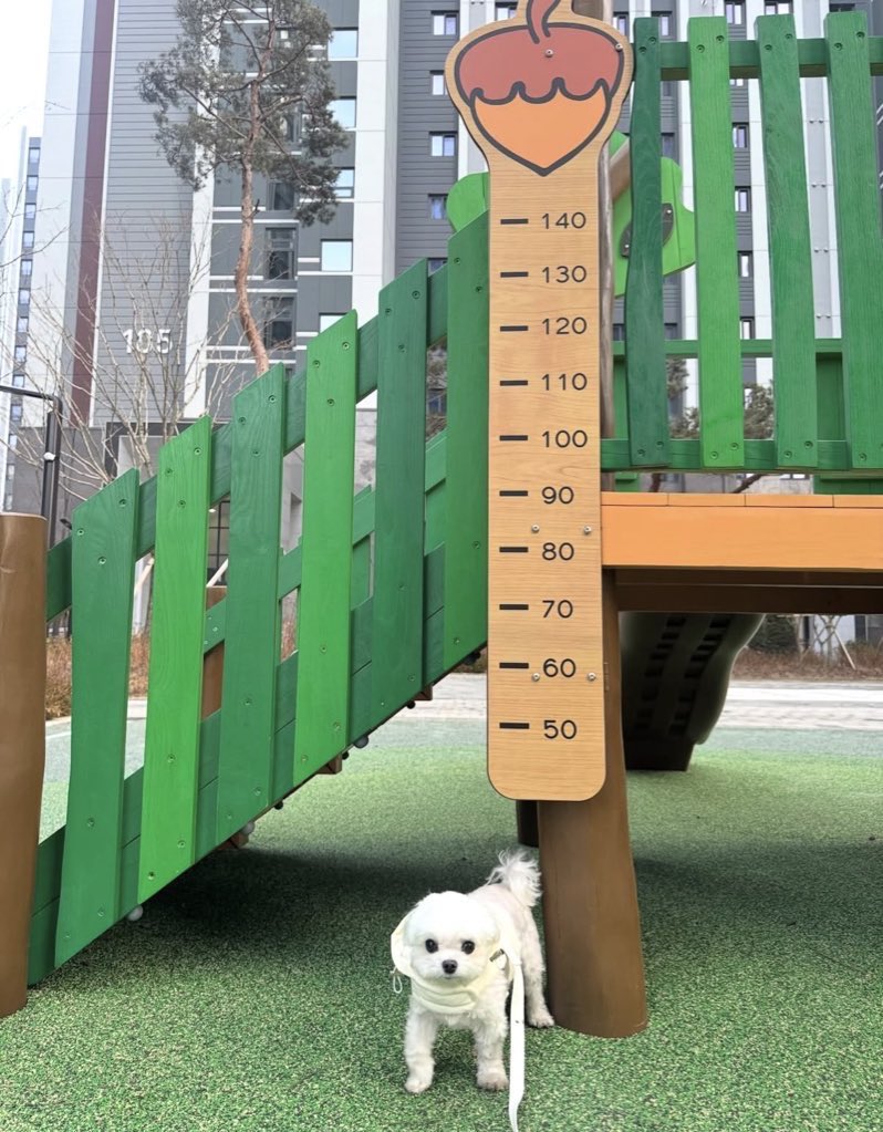 kyubalnom's tweet image. 뭐고
니 키 십센치가