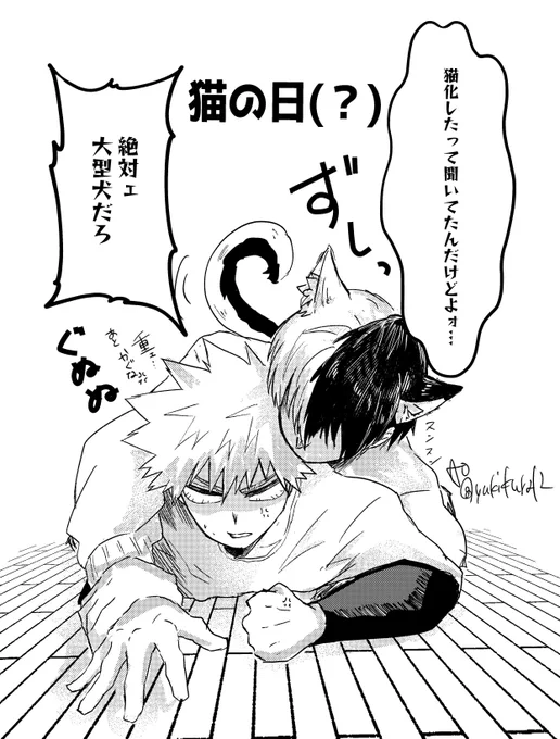 ⚠︎轟爆 猫化

目が合った瞬間乗っかってきた🍰

💥重ェ💢💢💢 