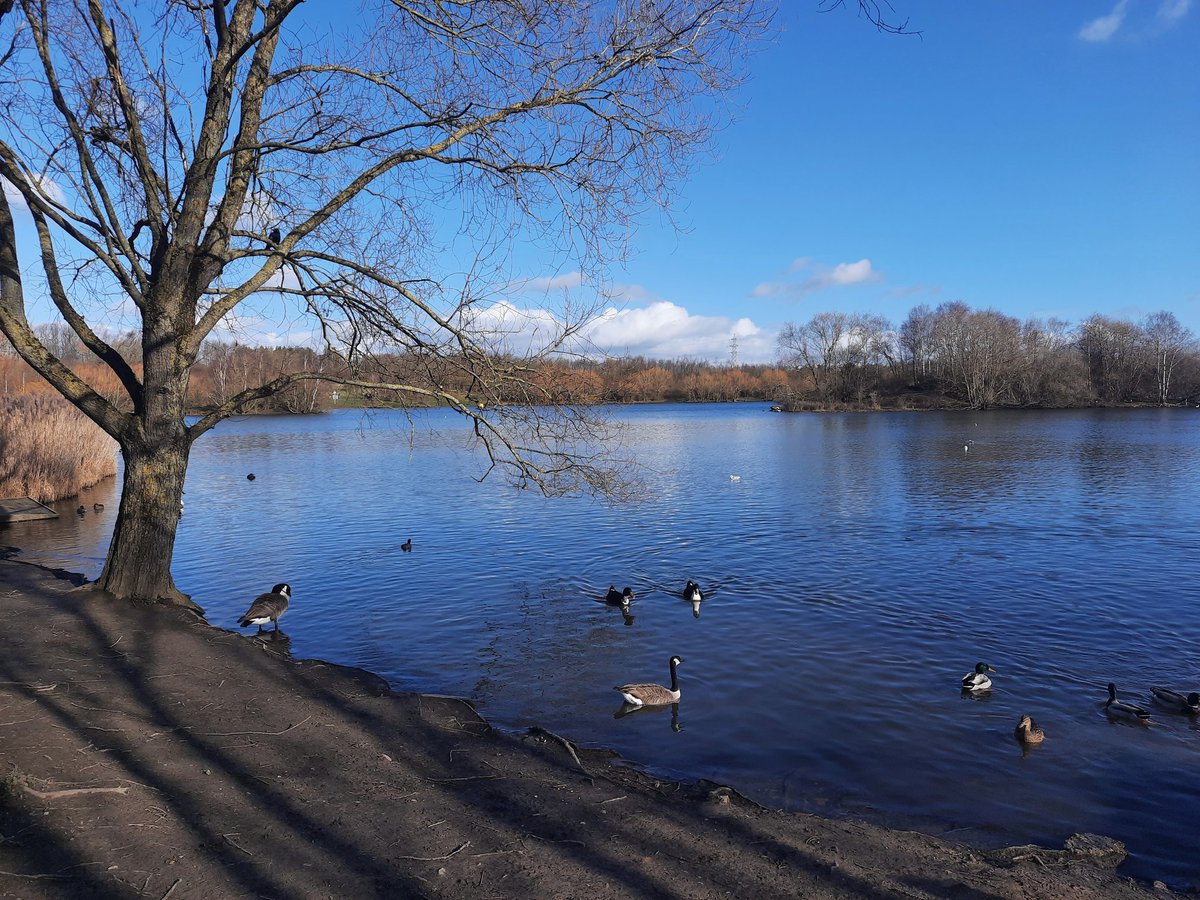 Trisha Turner tweet media