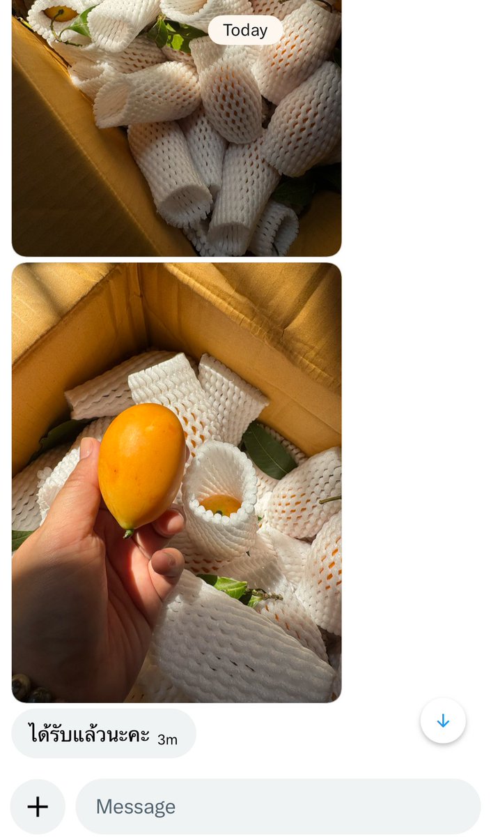 👩🏻‍🌾 ผลไม้ปลอดสารพิษของครอบครัว tweet media