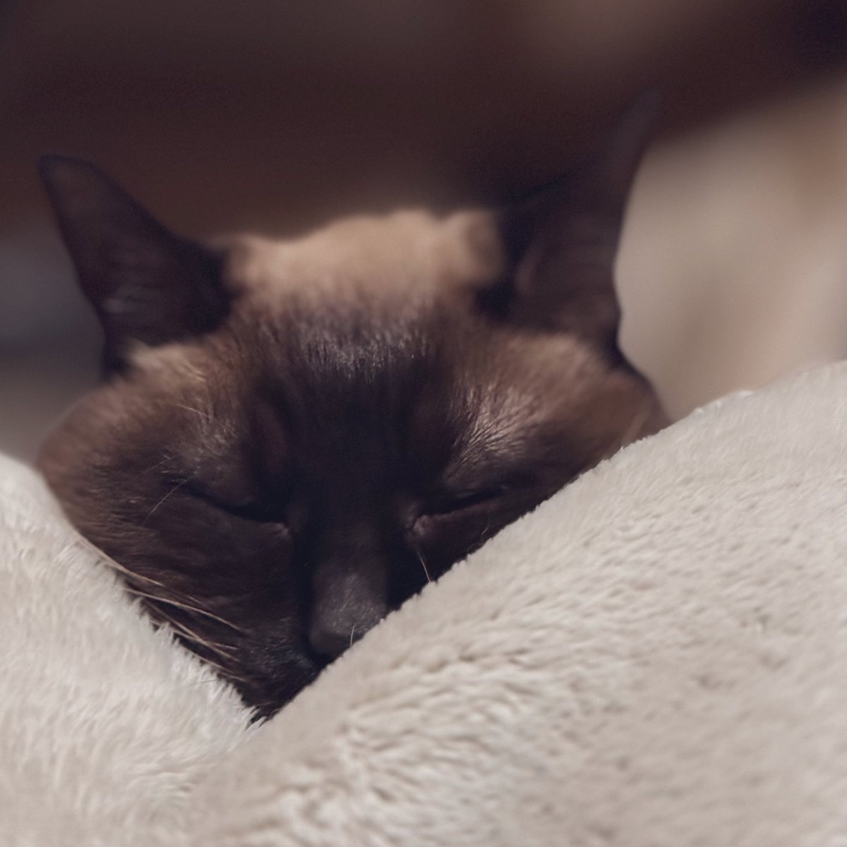 🎩🚨ひ ろ ちん゜. 🌏 tweet media