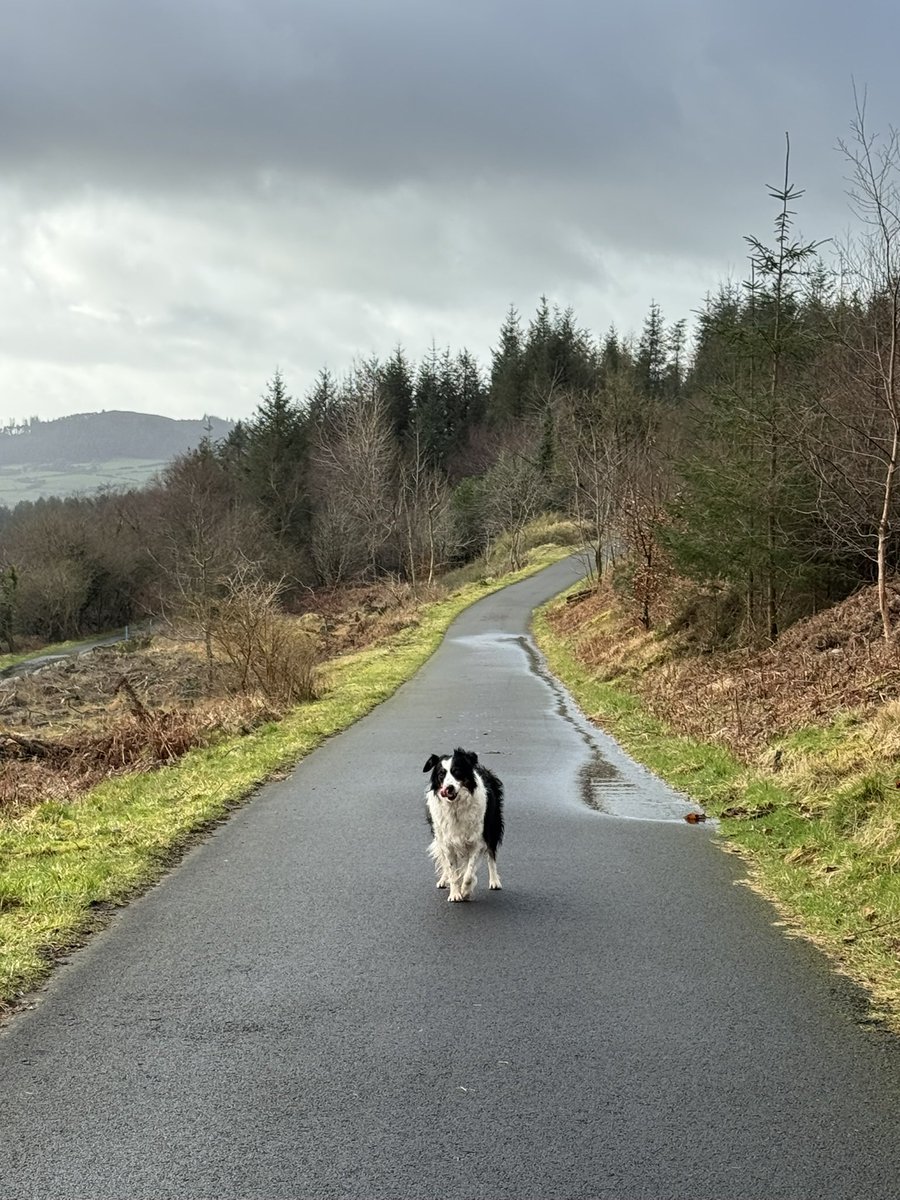 Phil Goan tweet media