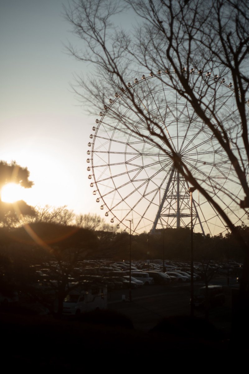 MeiPhotograph's tweet photo. この目に映る群青色って写真で表現するのムズい
#葛西臨海公園 https://t.co/cOKMEuK2uk