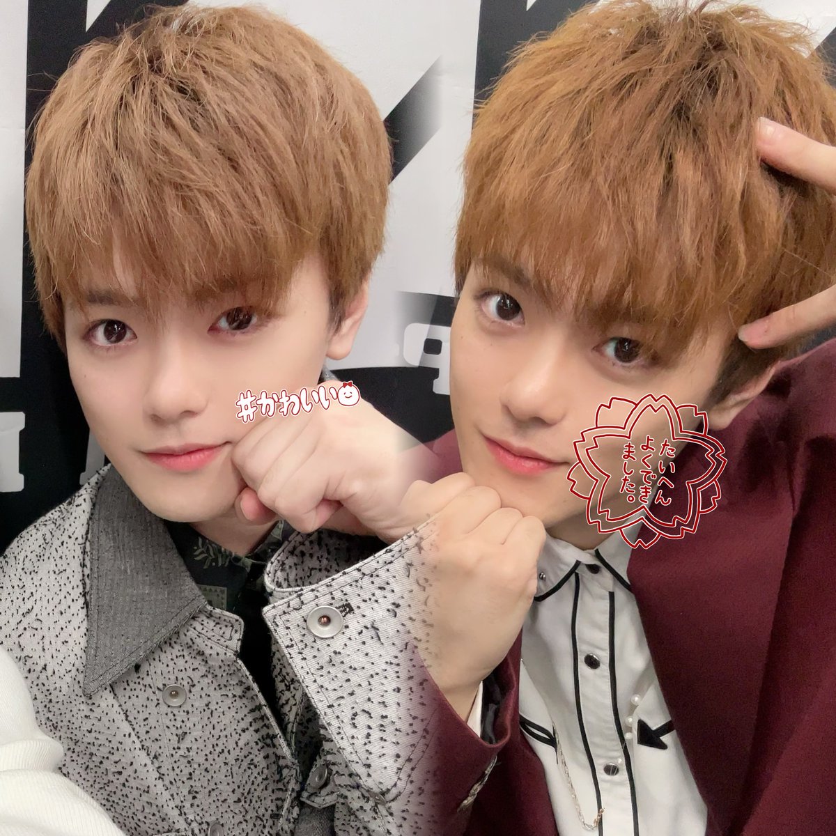 にゃんにゃんにゃんの日 (^_ ̫ _^∩)♡