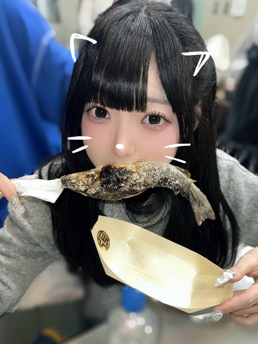 おさかなくわえた まおちゃん ᗢᘏᓗ #ねこの日