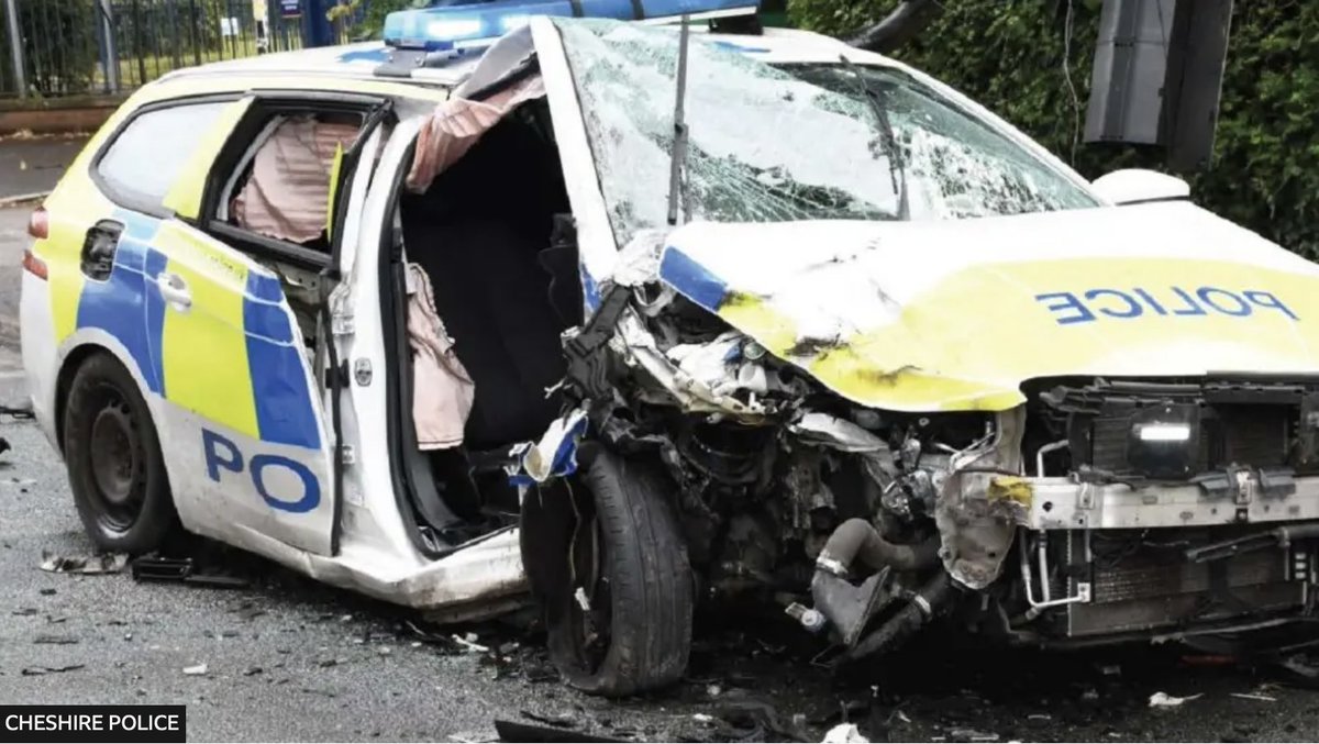 Still Image tweet media