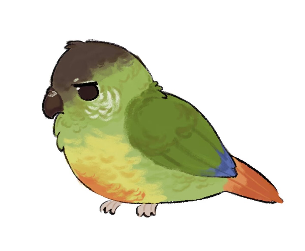 Midnight tweet media