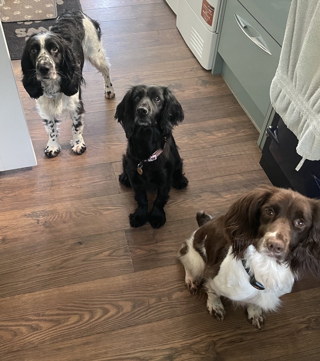Albertspanners Dad tweet media
