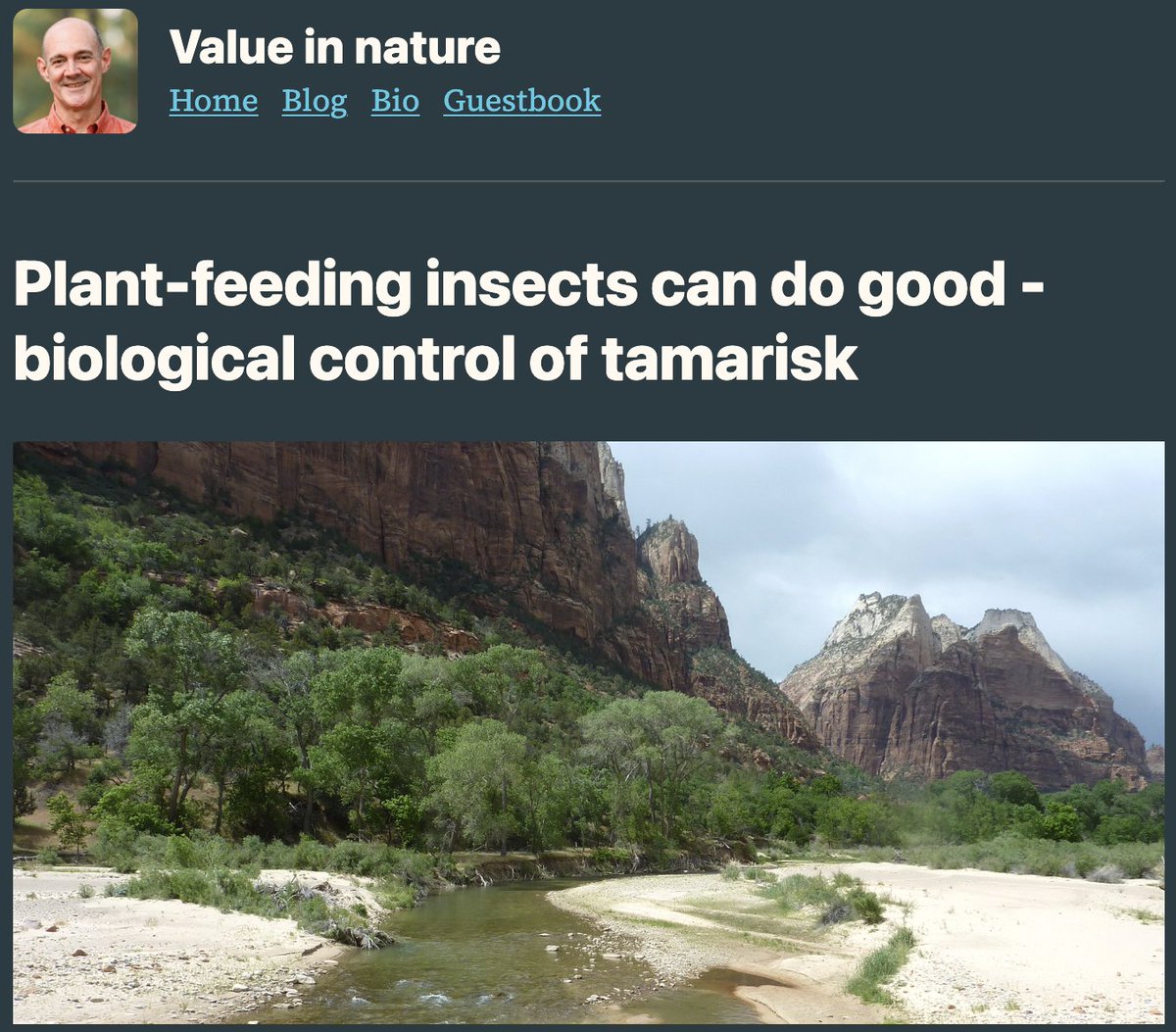 Caterino Arthropod Biodiversity Lab tweet media