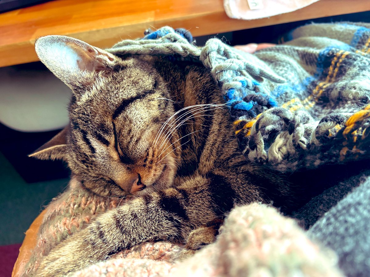 ねこのひ！
おむつになっても食事介護必要になっても常に可愛いを更新してるんですよね