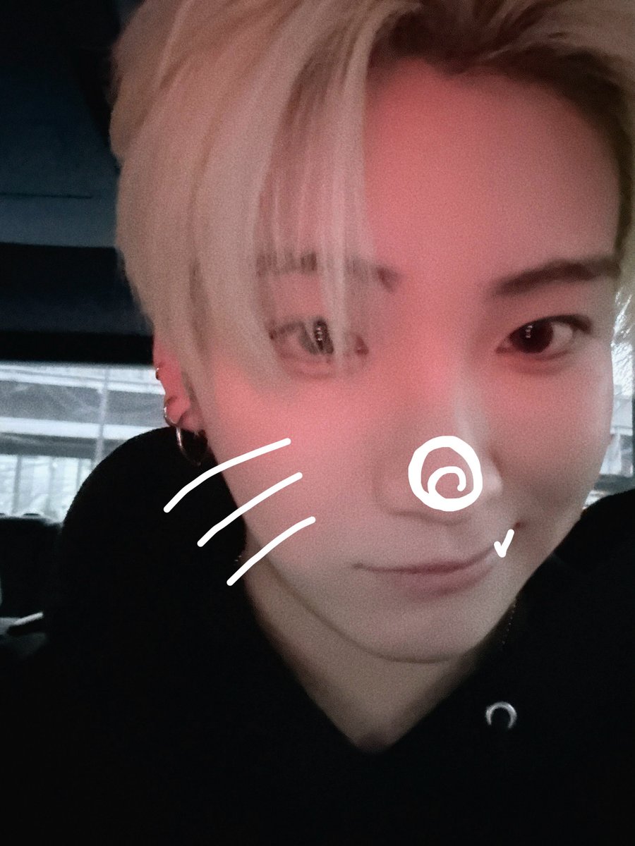 고양이의날!!!!!!냐냐냥