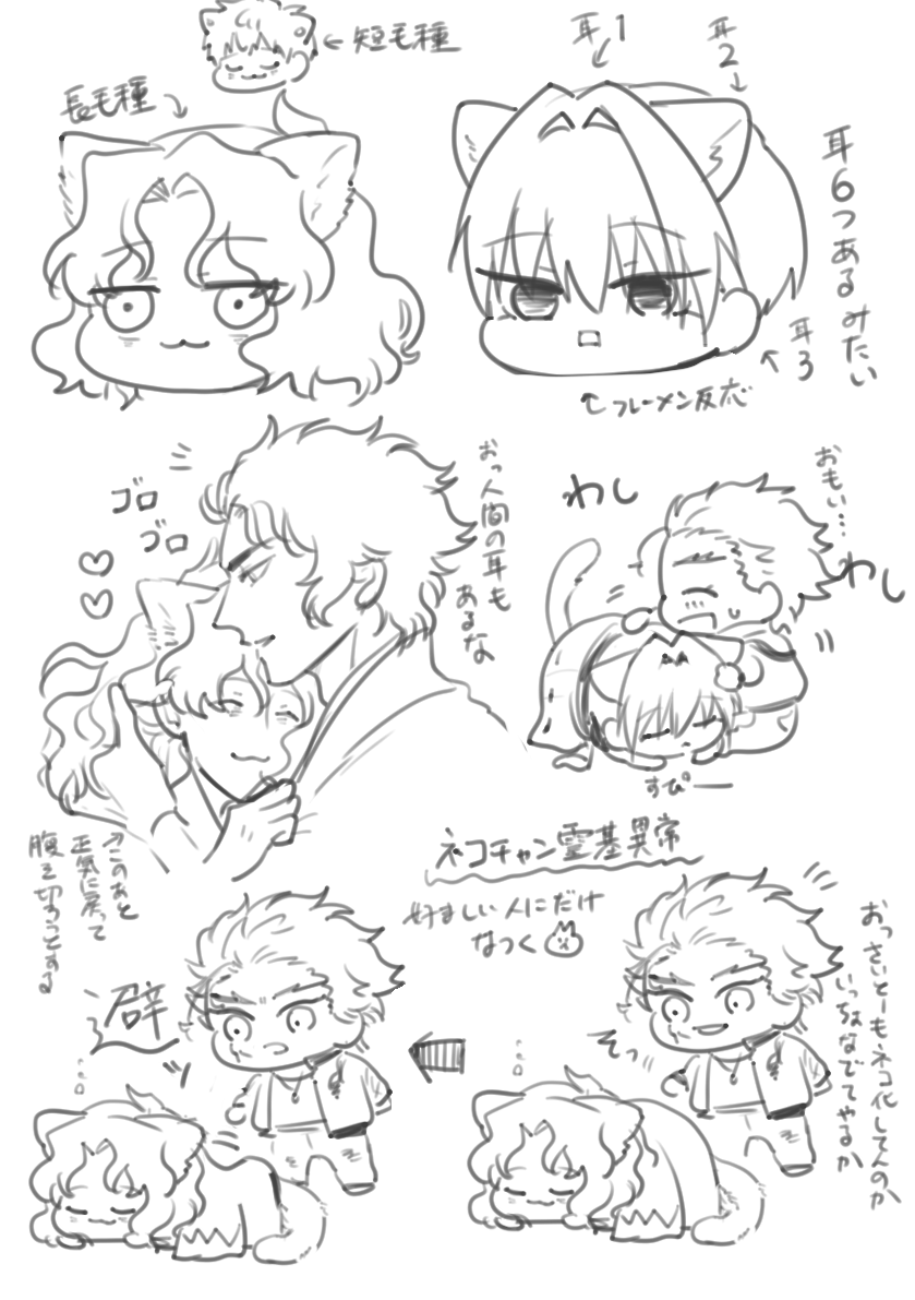 ネコチャン二匹 