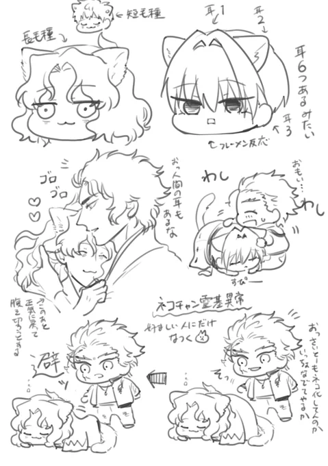 ネコチャン二匹 