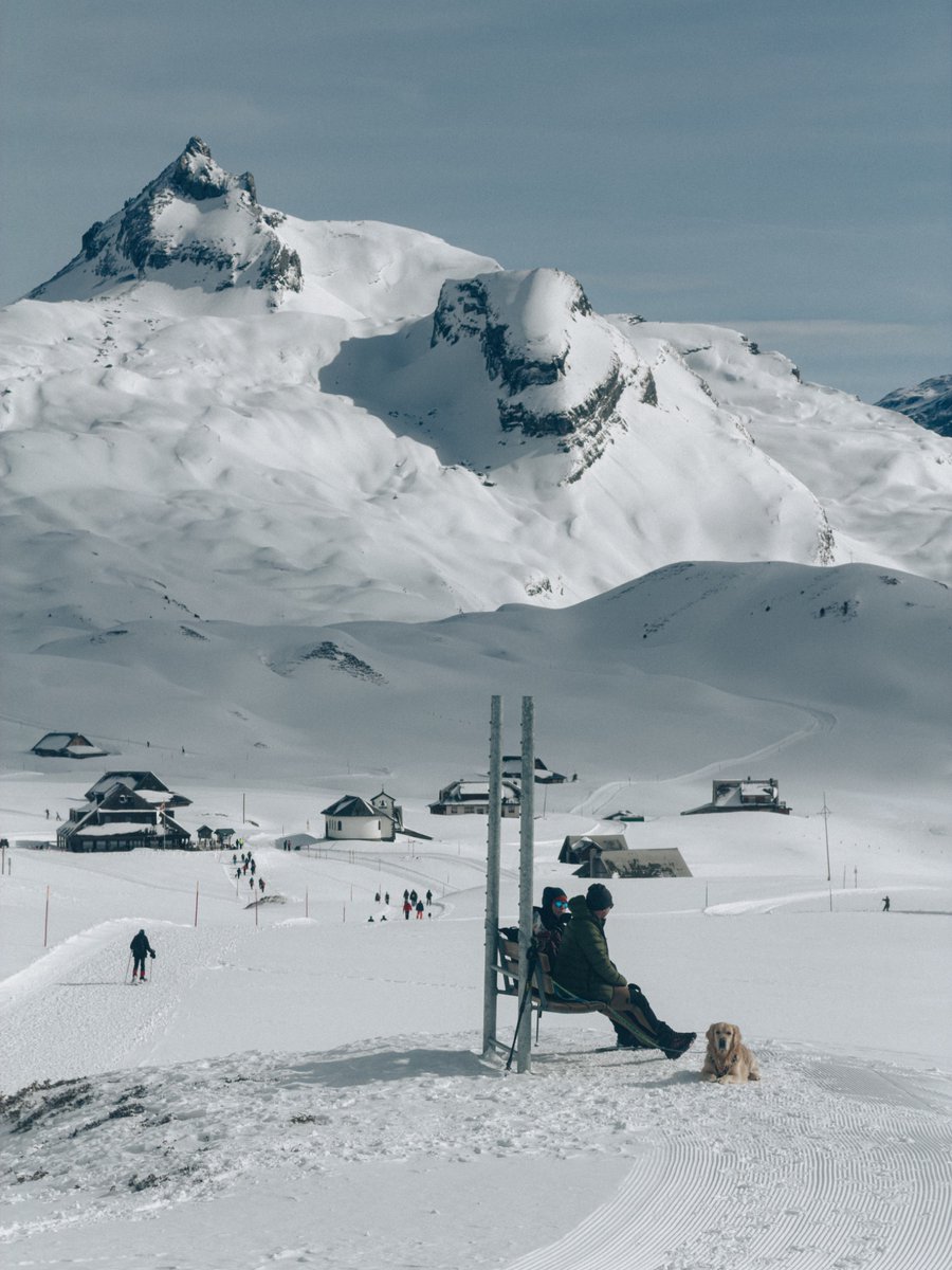 Leonardo Razovic tweet media