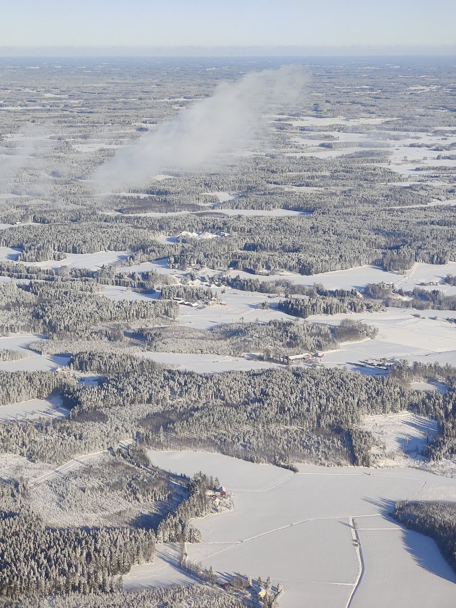 Lutu 💙💛 tweet media