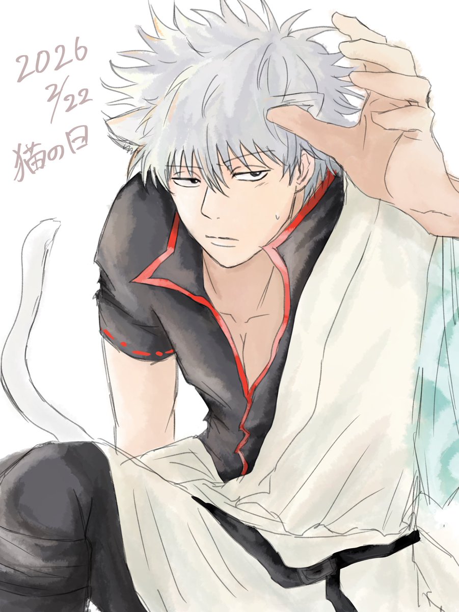 猫の日🐈🐾 #坂田銀時 年号間違えたから上げ直し