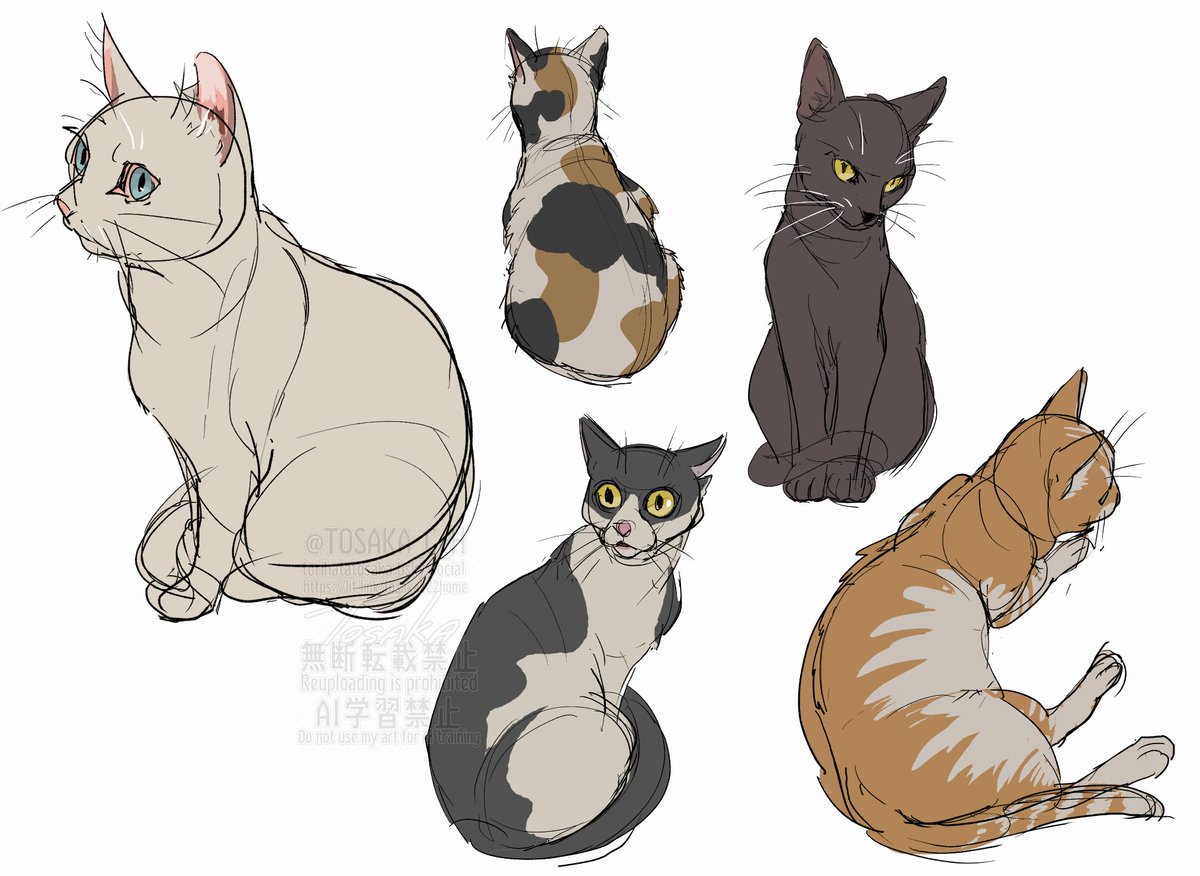 🐈DAY ＃猫の日