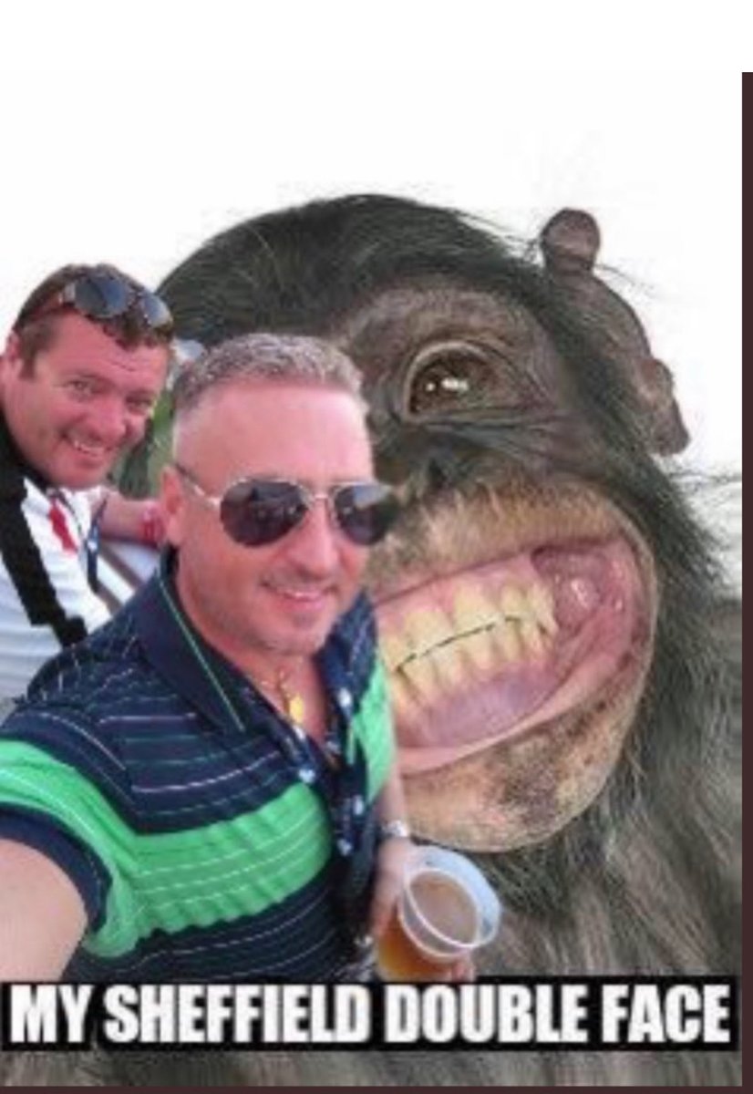 Jason halley (@halley1jason) on Twitter photo 