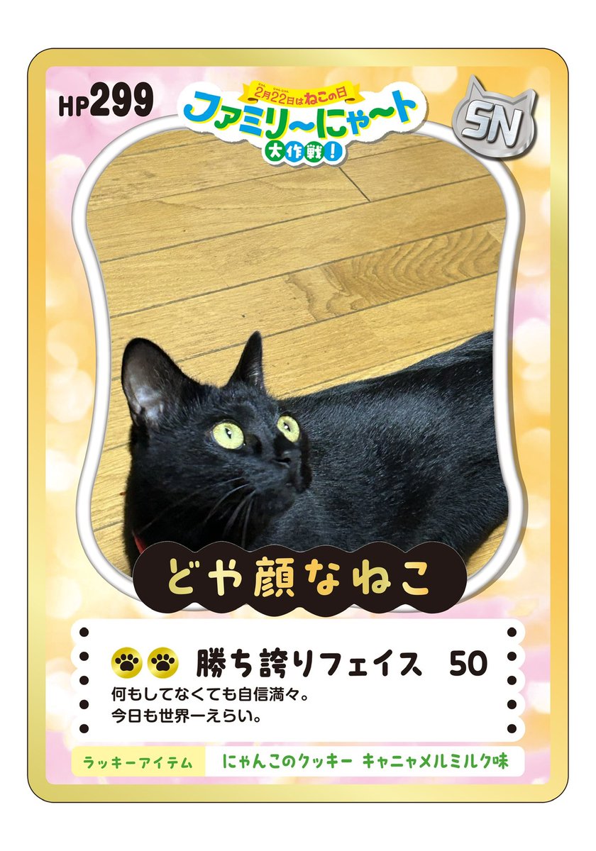 猫の日 黒猫は幸せの象徴である